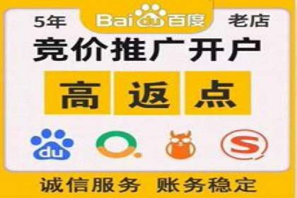 高效托管竞价SEM策略解析